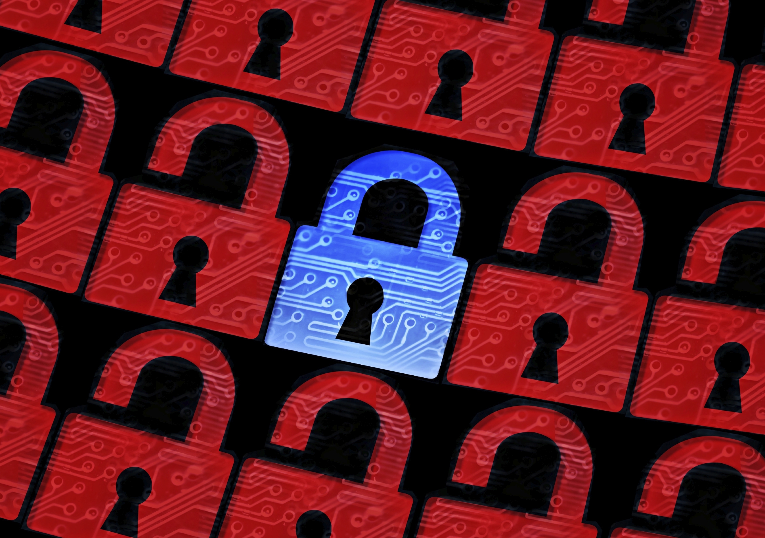 Network Vulnerability Scanning Solutions Burgess Computer